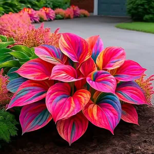 /69c668b21d639a000a068860/2026/04/14/product-img-69ddee0af707c0639afa49f8.png