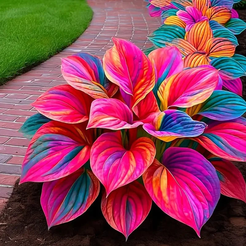 /69c668b21d639a000a068860/2026/04/14/product-img-69ddee0af707c0639afa4a01.png